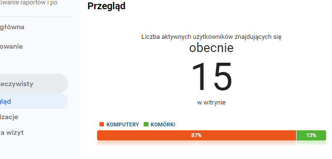 Raport z użytkownikami